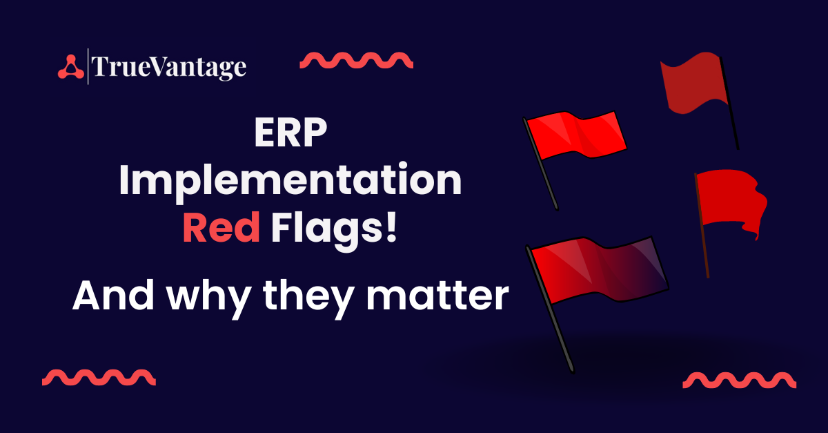 Updated Blog: Red Flags to Watch Out for During Your ERP Implementation Project